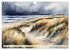 Norddeutsches Wattenmeer (Wandkalender... - Bild 3