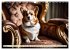 Welsh Corgi Pembroke (Wandkalender 2026... - Bild 13