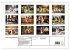 Welsh Corgi Pembroke (Wandkalender 2026... - Bild 6