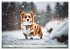 Welsh Corgi Pembroke (Wandkalender 2026... - Bild 7