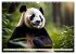 Großer Pandabär (Wandkalender 2026... - Bild 15