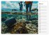Der Geocaching Found it Kalender... - Bild 11