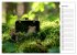 Der Geocaching Found it Kalender... - Bild 12