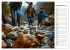 Der Geocaching Found it Kalender... - Bild 15