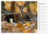 Der Geocaching Found it Kalender... - Bild 4