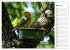 Der Geocaching Found it Kalender... - Bild 9