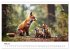 Fuchs - schöne Momente (Wandkalender... - Bild 11