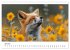 Fuchs - schöne Momente (Wandkalender... - Bild 12