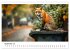 Fuchs - schöne Momente (Wandkalender... - Bild 15