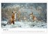 Fuchs - schöne Momente (Wandkalender... - Bild 7