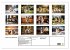 Welsh Corgi Pembroke (Wandkalender 2026... - Bild 6