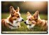 Welsh Corgi Pembroke (Wandkalender 2026... - Bild 9