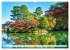 Herbst in Japan (Wandkalender 2026 DIN... - Bild 3
