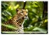 Gefleckte Jäger (Wandkalender 2026 DIN... - Bild 11