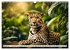 Gefleckte Jäger (Wandkalender 2026 DIN... - Bild 14