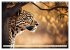 Gefleckte Jäger (Wandkalender 2026 DIN... - Bild 15