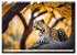 Gefleckte Jäger (Wandkalender 2026 DIN... - Bild 3