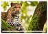Gefleckte Jäger (Wandkalender 2026 DIN... - Bild 5