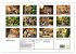 Gefleckte Jäger (Wandkalender 2026 DIN... - Bild 6