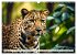 Gefleckte Jäger (Wandkalender 2026 DIN... - Bild 8