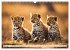 Gefleckte Jäger (Wandkalender 2026 DIN... - Bild 10