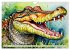 Farbenprächtige Reptilien... - Bild 12