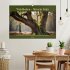 Waldbaden - Shinrin Yoku (Wandkalender... - Bild 2