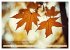 Waldbaden - Shinrin Yoku (Wandkalender... - Bild 4