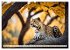 Gefleckte Jäger (hochwertiger Premium... - Bild 2