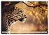 Gefleckte Jäger (hochwertiger Premium... - Bild 14