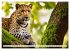 Gefleckte Jäger (hochwertiger Premium... - Bild 4