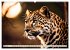 Gefleckte Jäger (hochwertiger Premium... - Bild 8