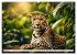 Gefleckte Jäger (Wandkalender 2026 DIN... - Bild 14