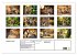 Gefleckte Jäger (Wandkalender 2026 DIN... - Bild 6