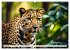 Gefleckte Jäger (Wandkalender 2026 DIN... - Bild 8