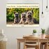 Cairn Terrier - lustiges Raubein aus... - Bild 2
