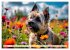 Cairn Terrier - lustiges Raubein aus... - Bild 11