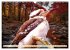 Australiens faszinierende Fauna... - Bild 11