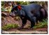 Australiens faszinierende Fauna... - Bild 13