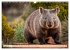 Australiens faszinierende Fauna... - Bild 14
