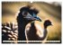 Australiens faszinierende Fauna... - Bild 15