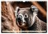 Australiens faszinierende Fauna... - Bild 5