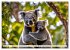 Australiens faszinierende Fauna... - Bild 7