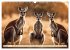 Australiens faszinierende Fauna... - Bild 10