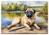 Knuffige Möpse (hochwertiger Premium... - Bild 12