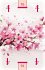Kartenspiel: Niwa - Japanischer Garten:... - Bild 5