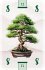 Kartenspiel: Niwa - Japanischer Garten:... - Bild 7