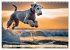 Bedlington Terrier - Hunde im... - Bild 14