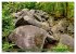 Das Felsenmeer - Natur pur im Odenwald... - Bild 2