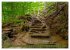 Das Felsenmeer - Natur pur im Odenwald... - Bild 11